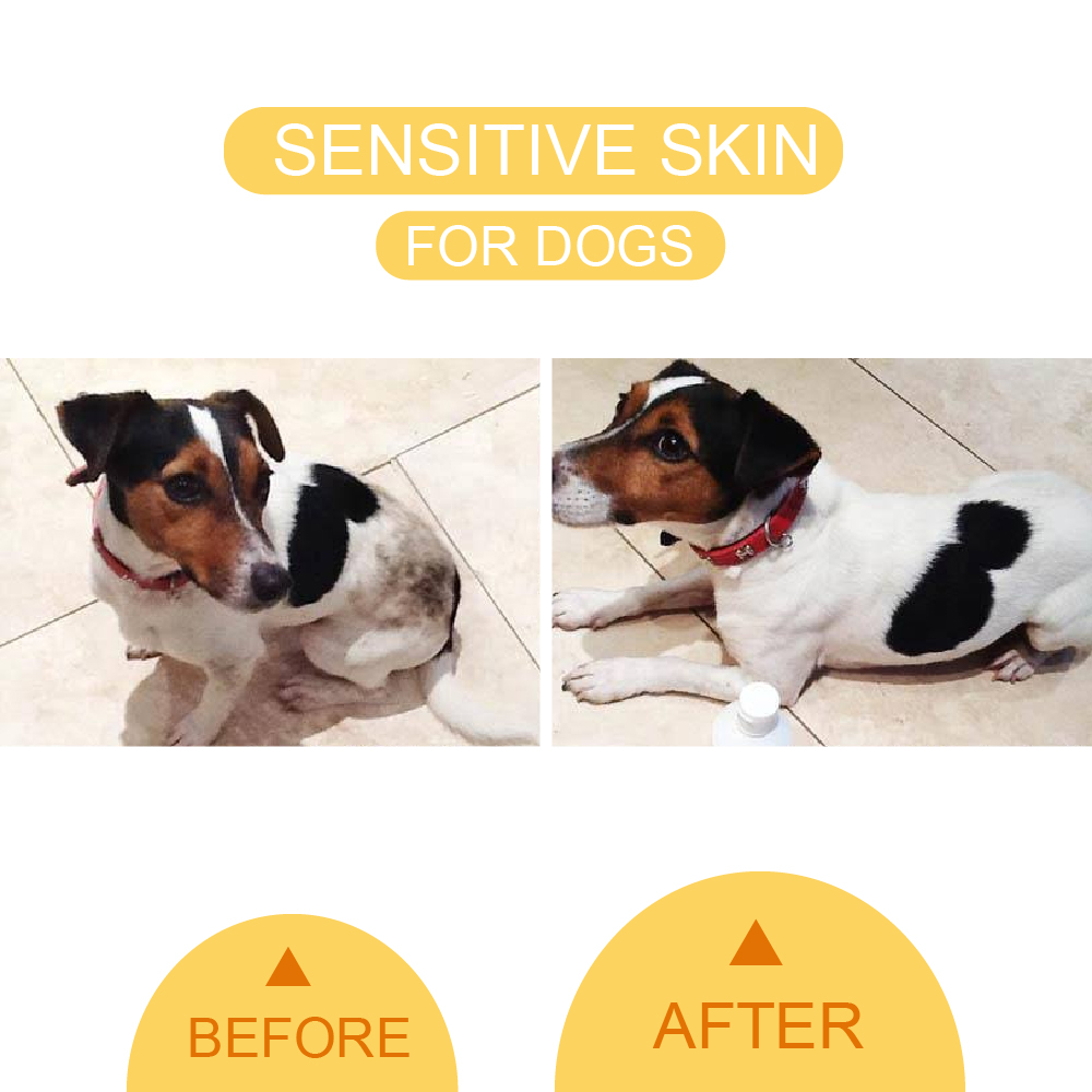 bissell proheat pet shampoo